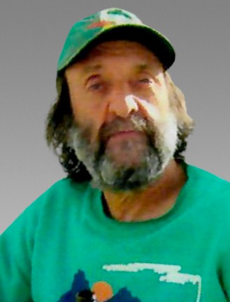 M. Daniel Despins