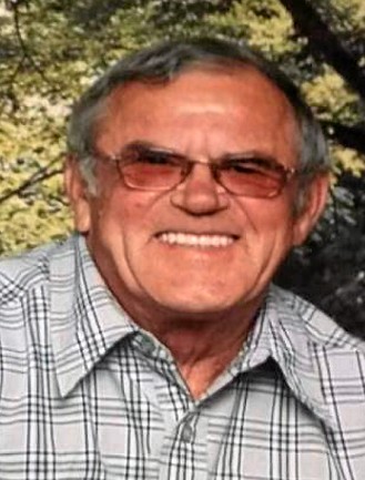 M. Réal Gagnon