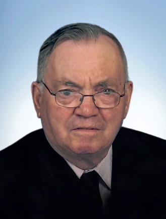 M. Vital Lamy