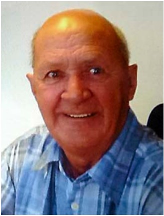M. Robert Dallaire