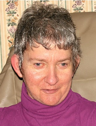 Mme Sylvie Paquet