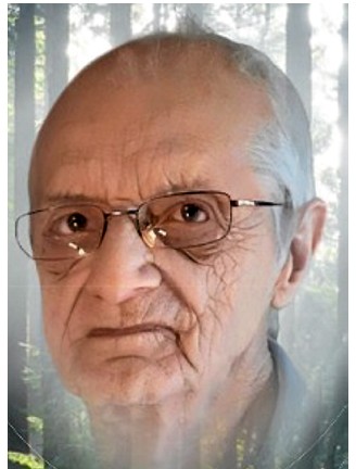 Raymond Lauzon