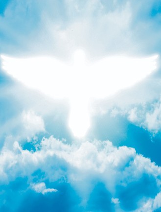 Les Filles de la Charité du Sacré-Coeur de Jésus