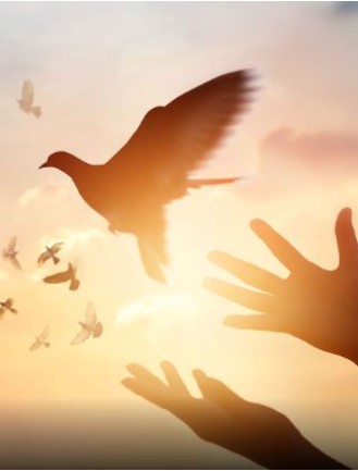 Jean-François Delorme