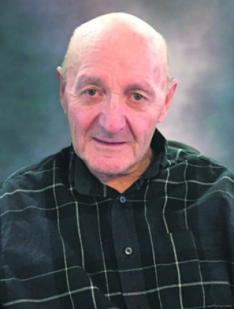 LAMOUREUX ROBERT