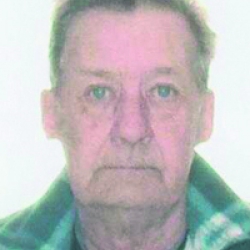 MCCUAIG RONALD