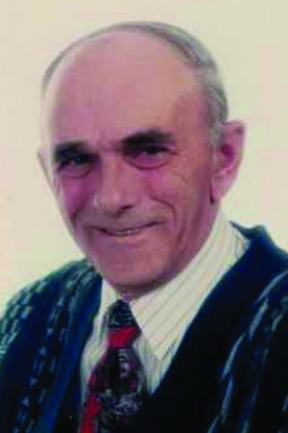 LEBER NORMAND