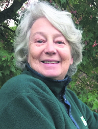 DESAULNIERS LOUISE L.