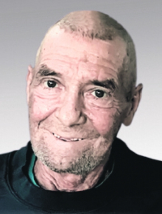 HAMEL MICHEL