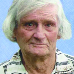 LACERTE RÉMI