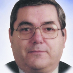 PLAMONDON ROLAND