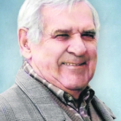 PLANTE LÉOPOLD