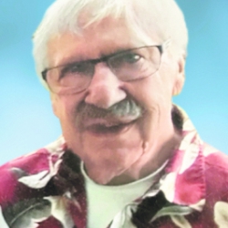 DOZOIS ROBERT