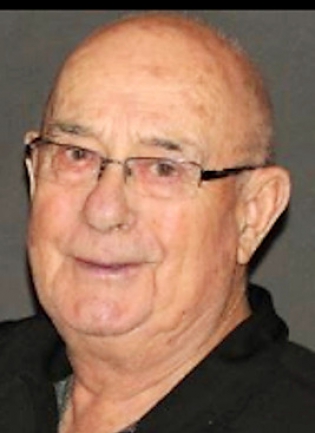 HAMELIN DOMINIQUE