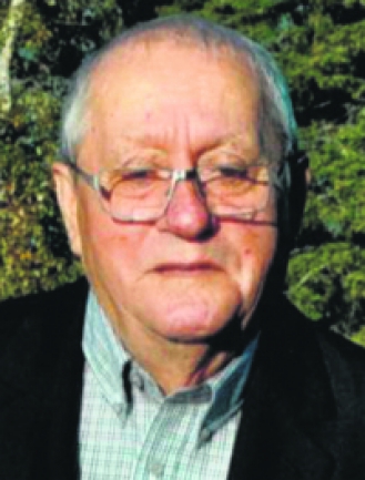 MORIN LAURENT