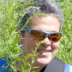 CLOUTIER MONIQUE