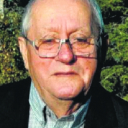 MORIN LAURENT