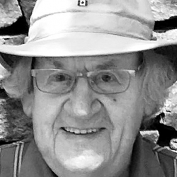 DAVIES GUY L.