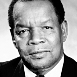 RONY DOMINIQUE D.