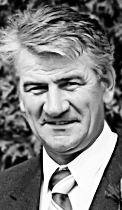 PERREAULT LAURENT