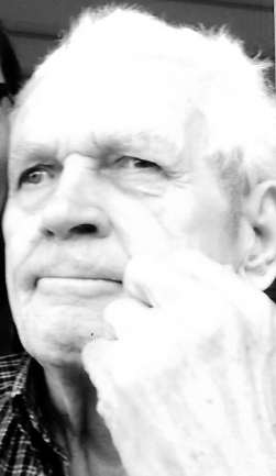 BERNARD GEORGES