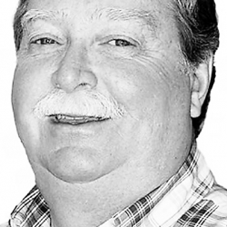 BEATTIE TERRY