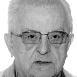 ROBERT ANDRE 